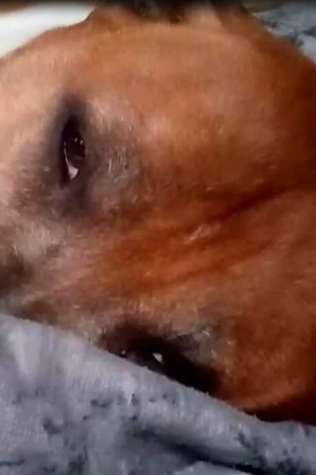 crawling light a short film